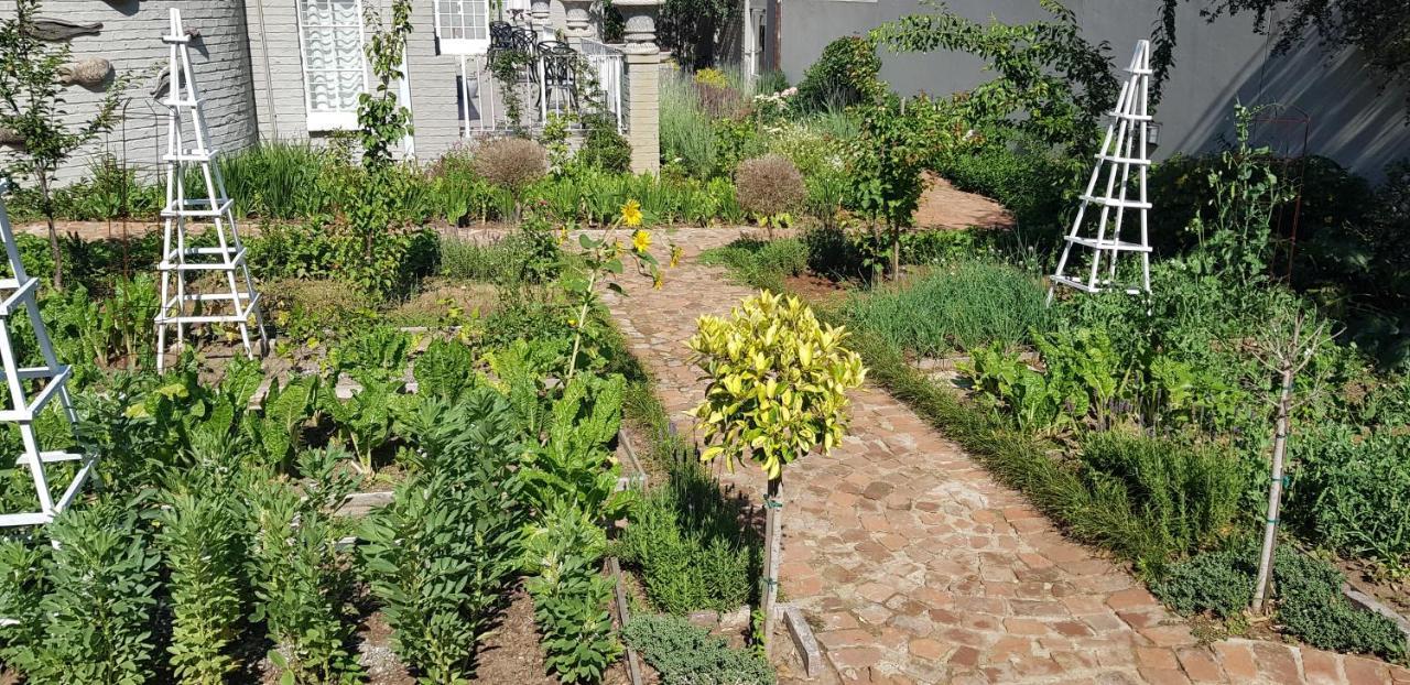 Villa Moi Johannesburg Ngoại thất bức ảnh